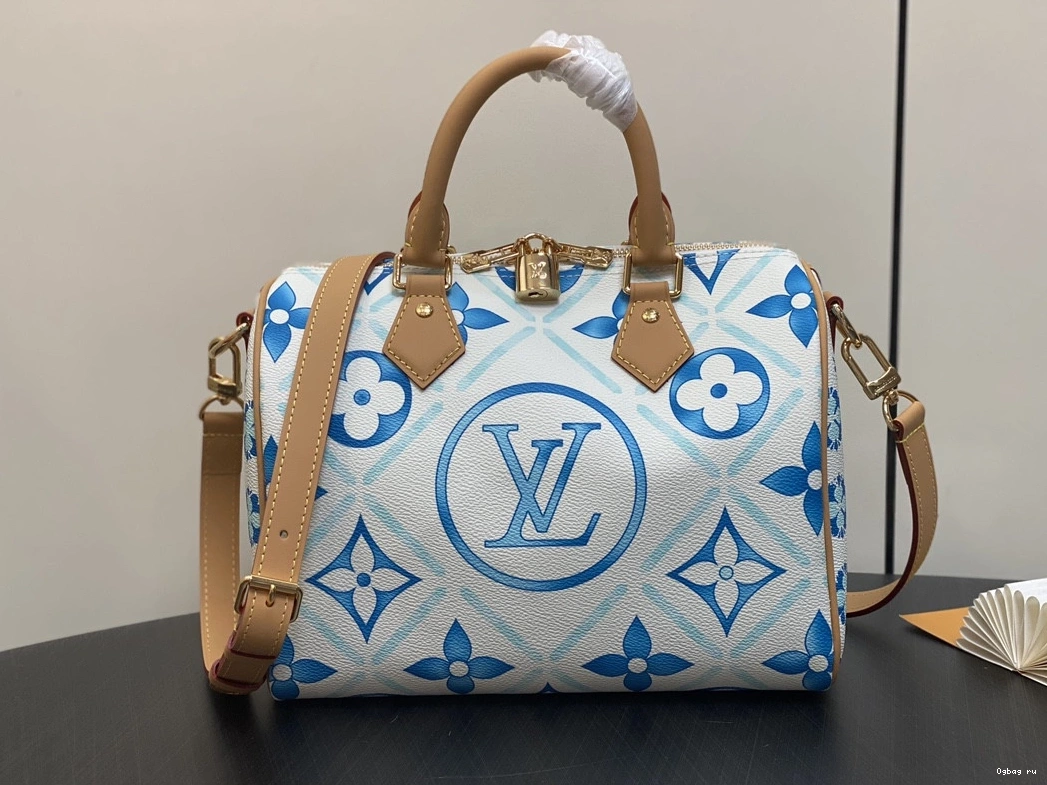 Louis Vuitton SPEEDY 25 0710